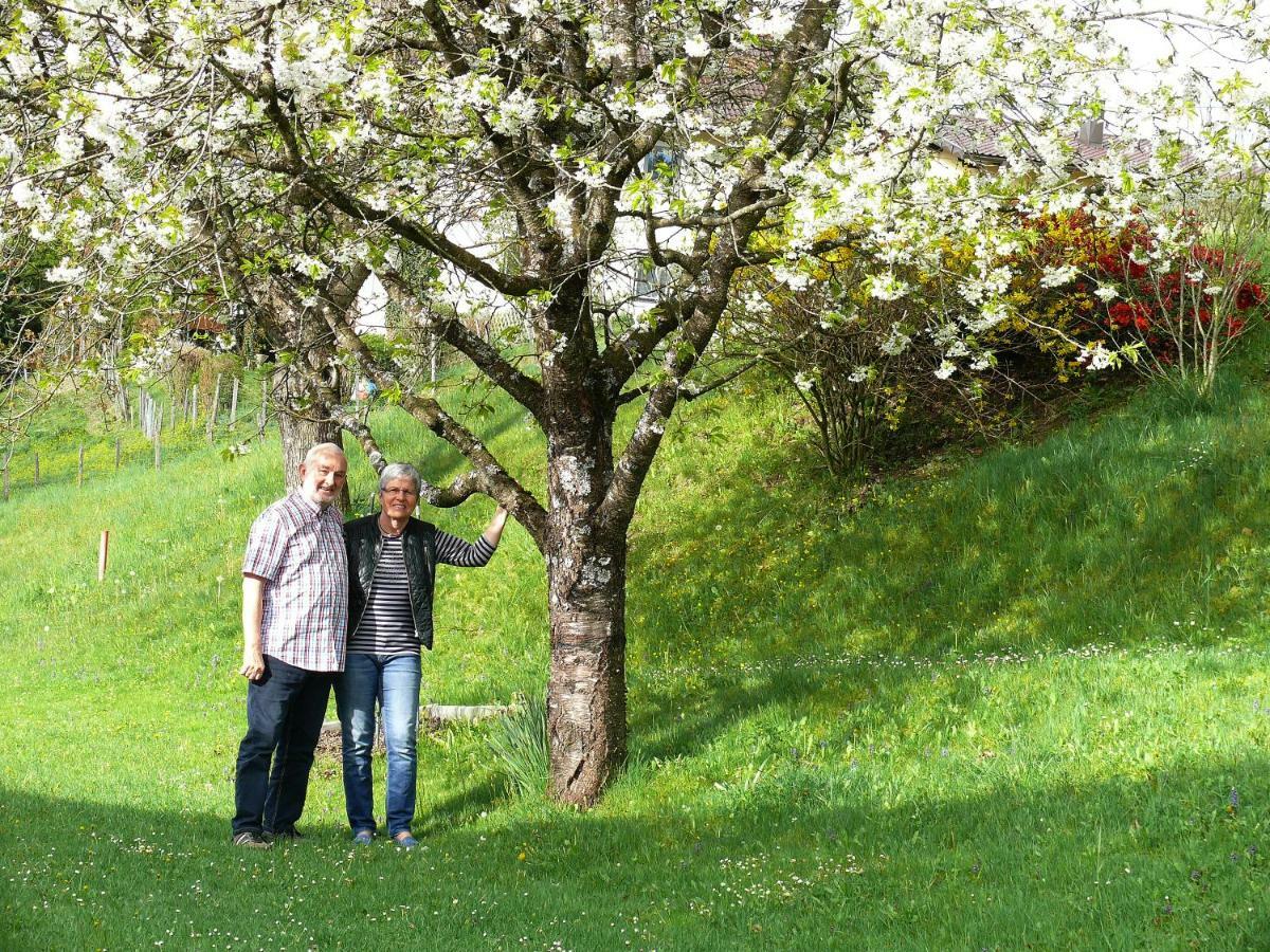 Ferienwohnung Eichler Feldkirchen in Kärnten Eksteriør billede